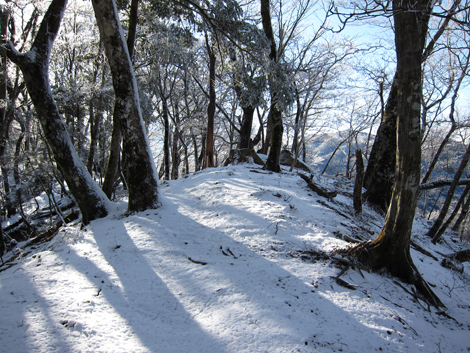 20191129hike (420)